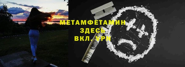 шишки Белокуриха